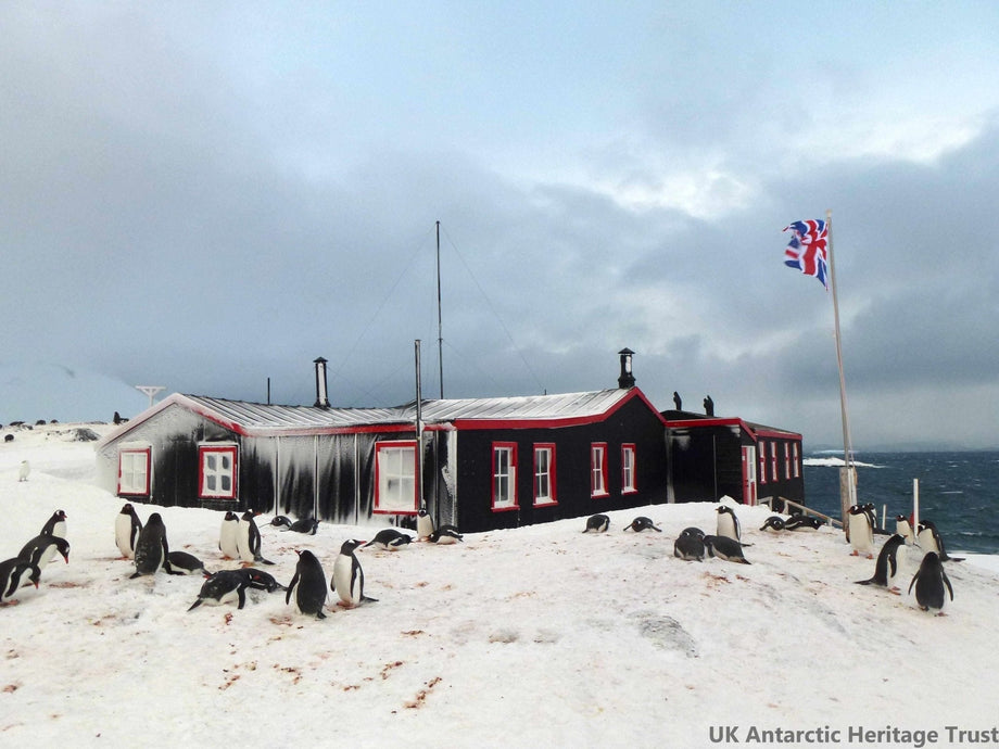 Postcards From The Penguin Post Office - Cambridge Satchel US Store