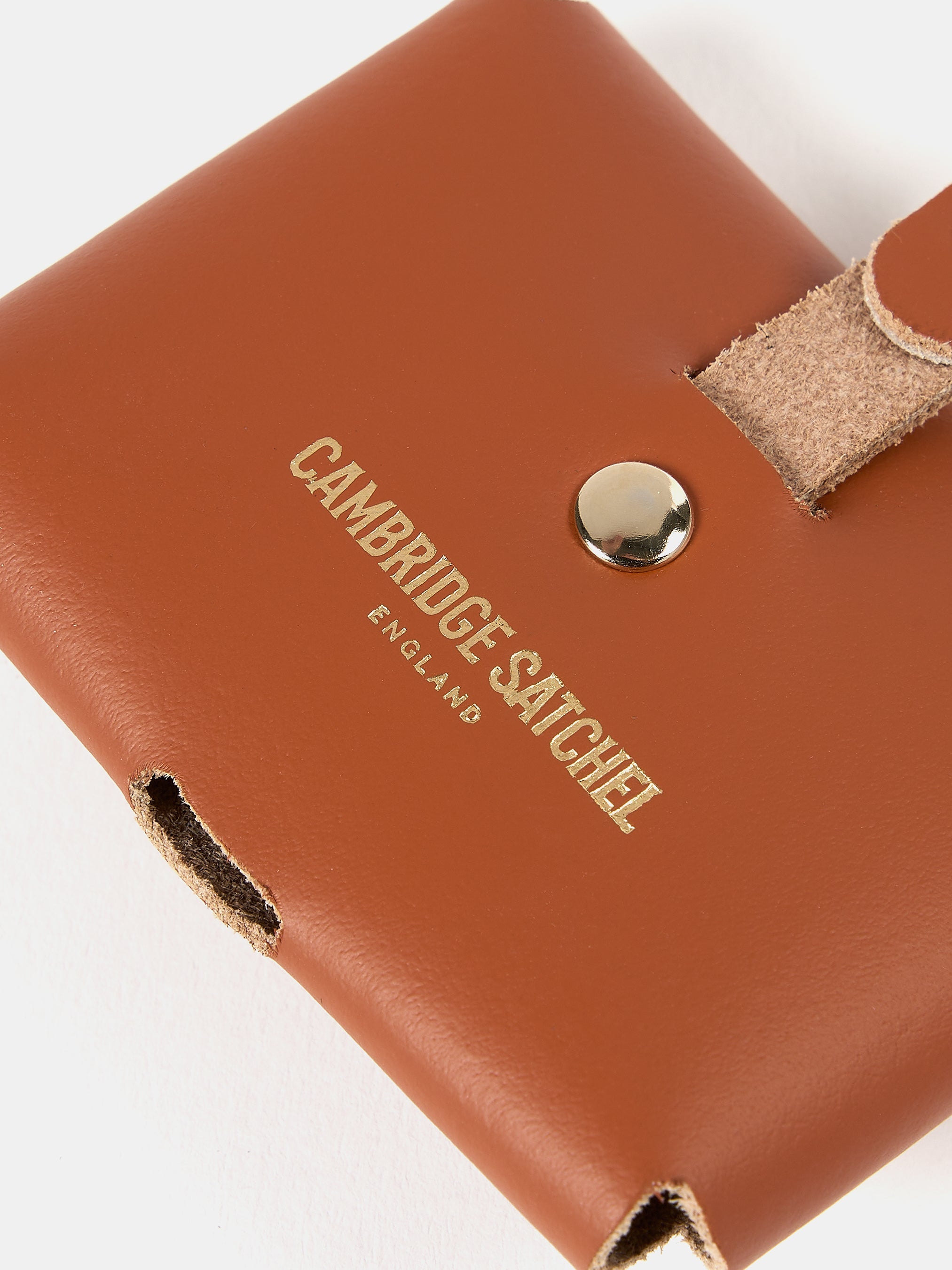 The AirPods Pro Case - Cinnamon