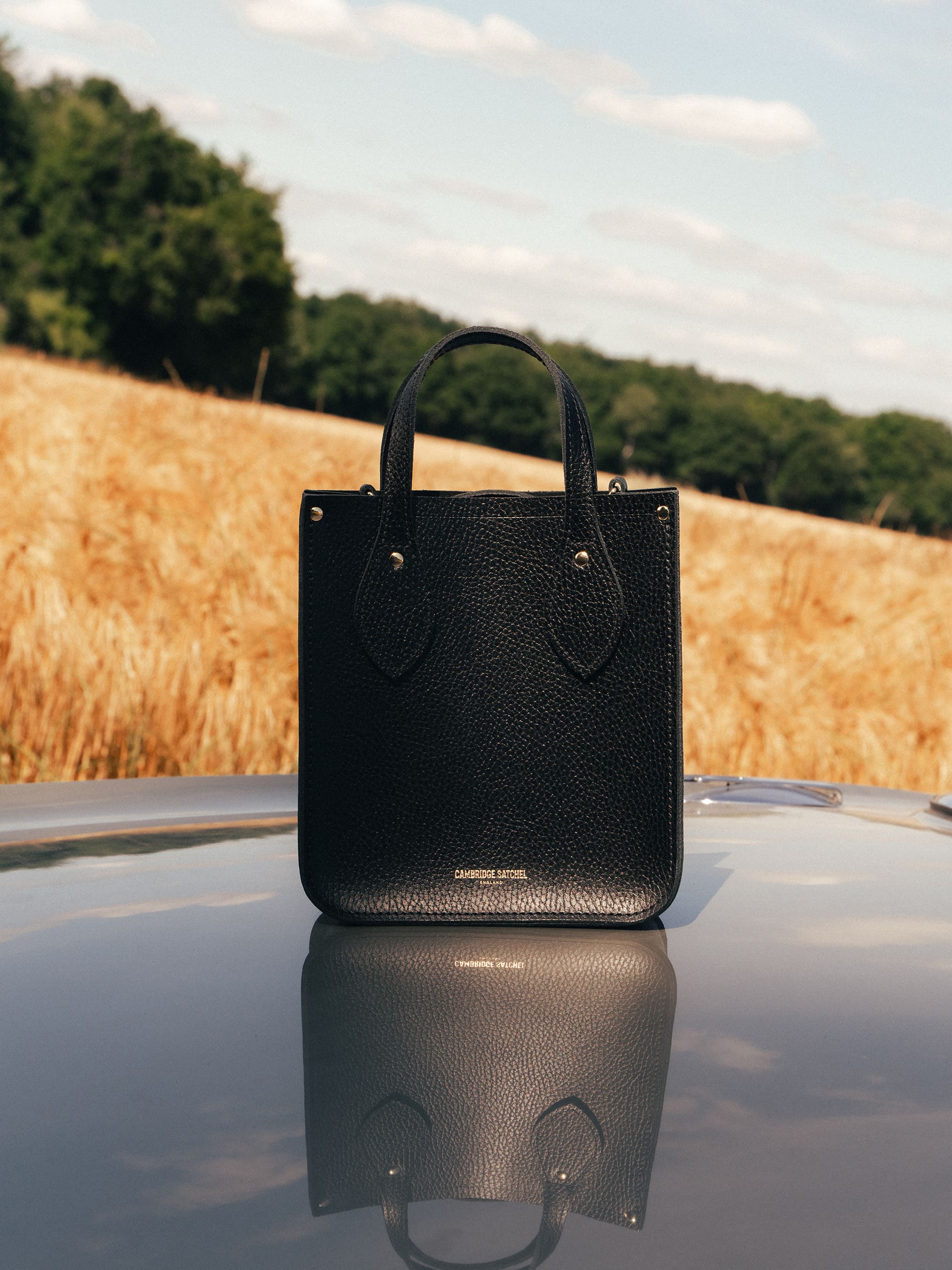 The Mini Tote - Black Celtic Grain