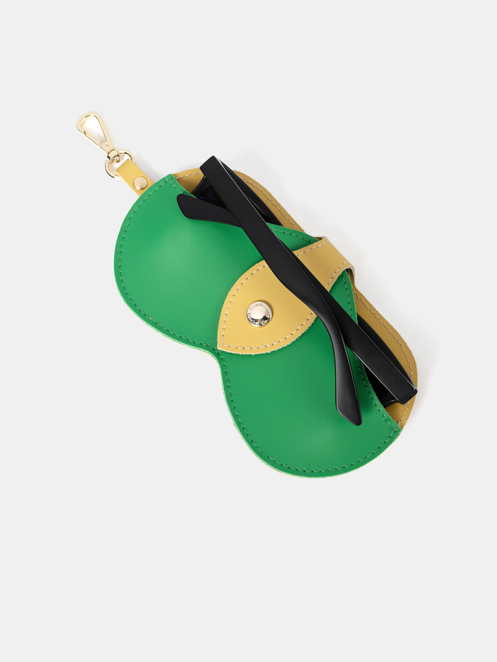 The Sunglasses Case - Indian Yellow & Apple Green