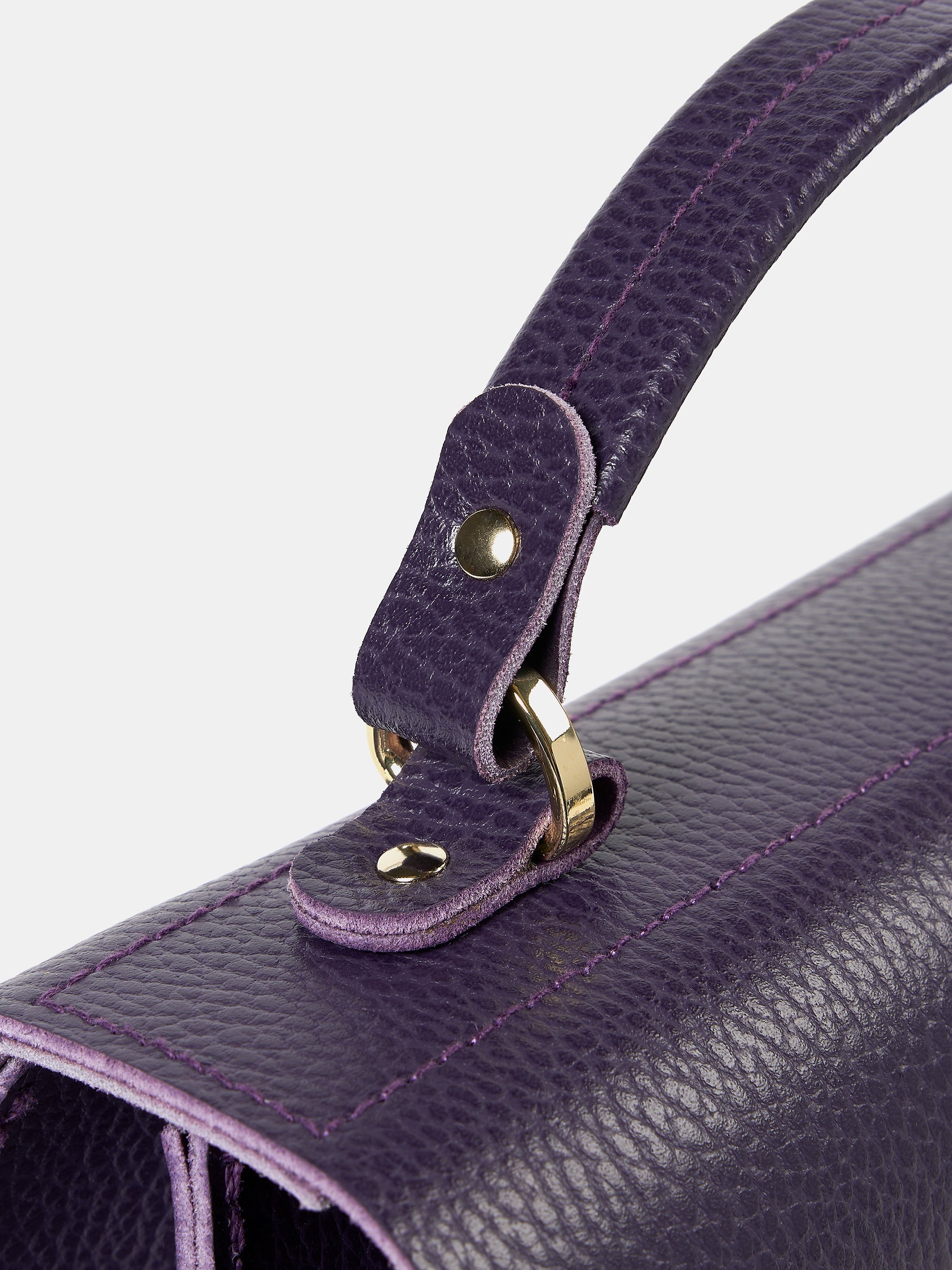The Daisy - Deep Purple Celtic Grain