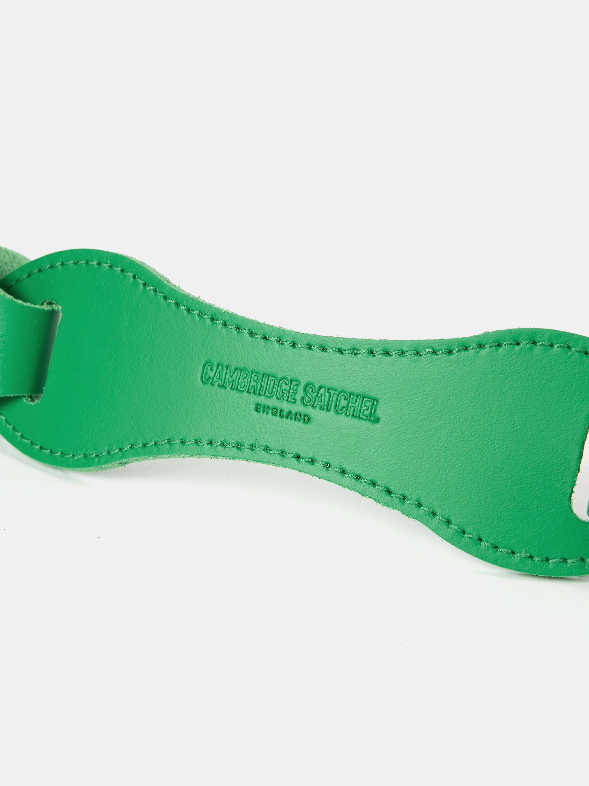 The Link Strap - Apple Green & Pale Gold Hardware
