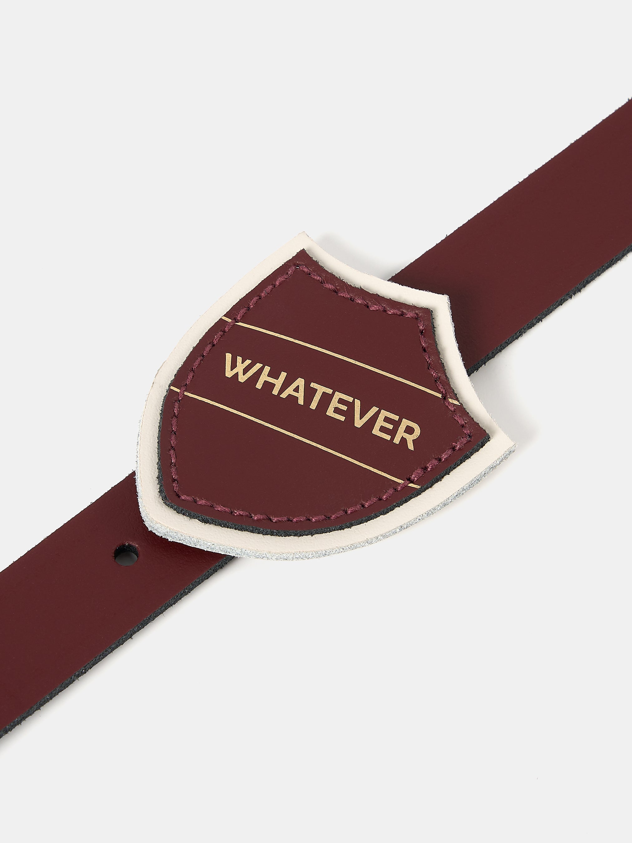 The Prefect Badge