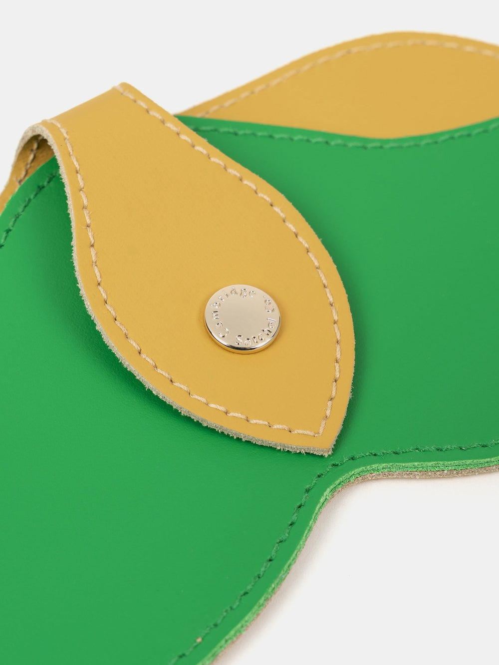 The Sunglasses Case - Indian Yellow & Apple Green - Cambridge Satchel US Store